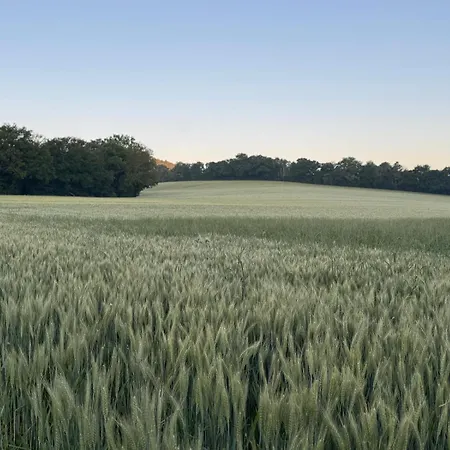 Landhuis, Oneindig Uitzicht, 30ha Land, Prive Zwembad
